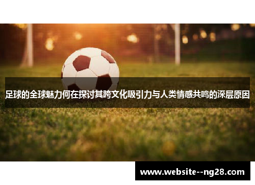 足球的全球魅力何在探讨其跨文化吸引力与人类情感共鸣的深层原因