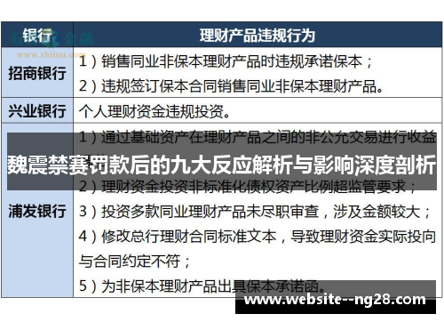 魏震禁赛罚款后的九大反应解析与影响深度剖析